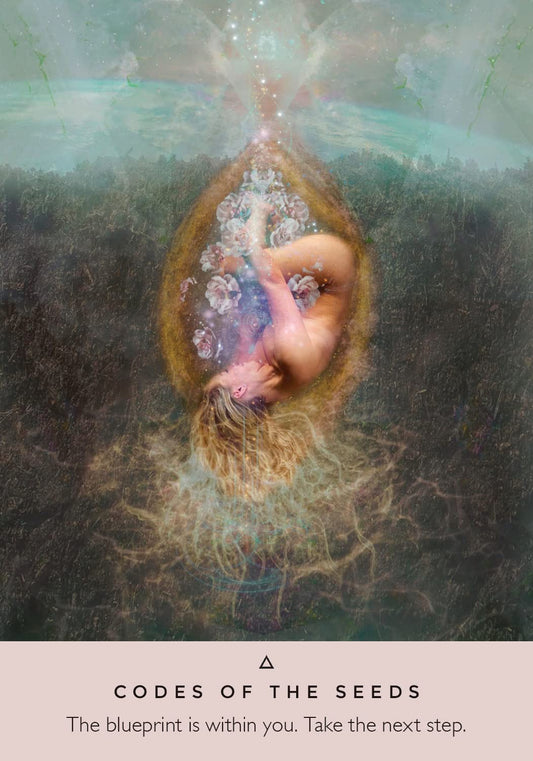 The Rose Oracle || Rebecca Campbell