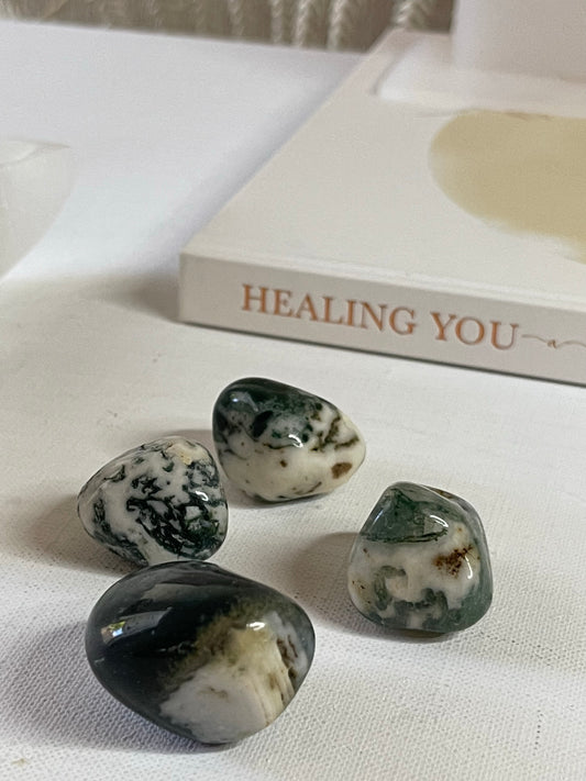Tree Agate Tumbles || Inner Peace