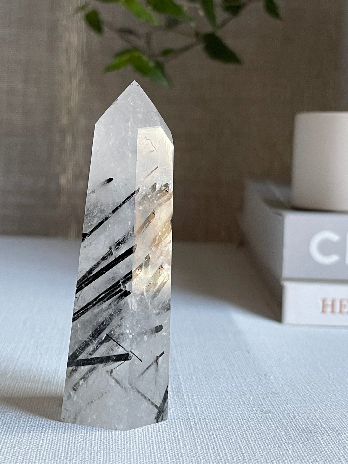 Tourmalinated Quartz Points || Protection