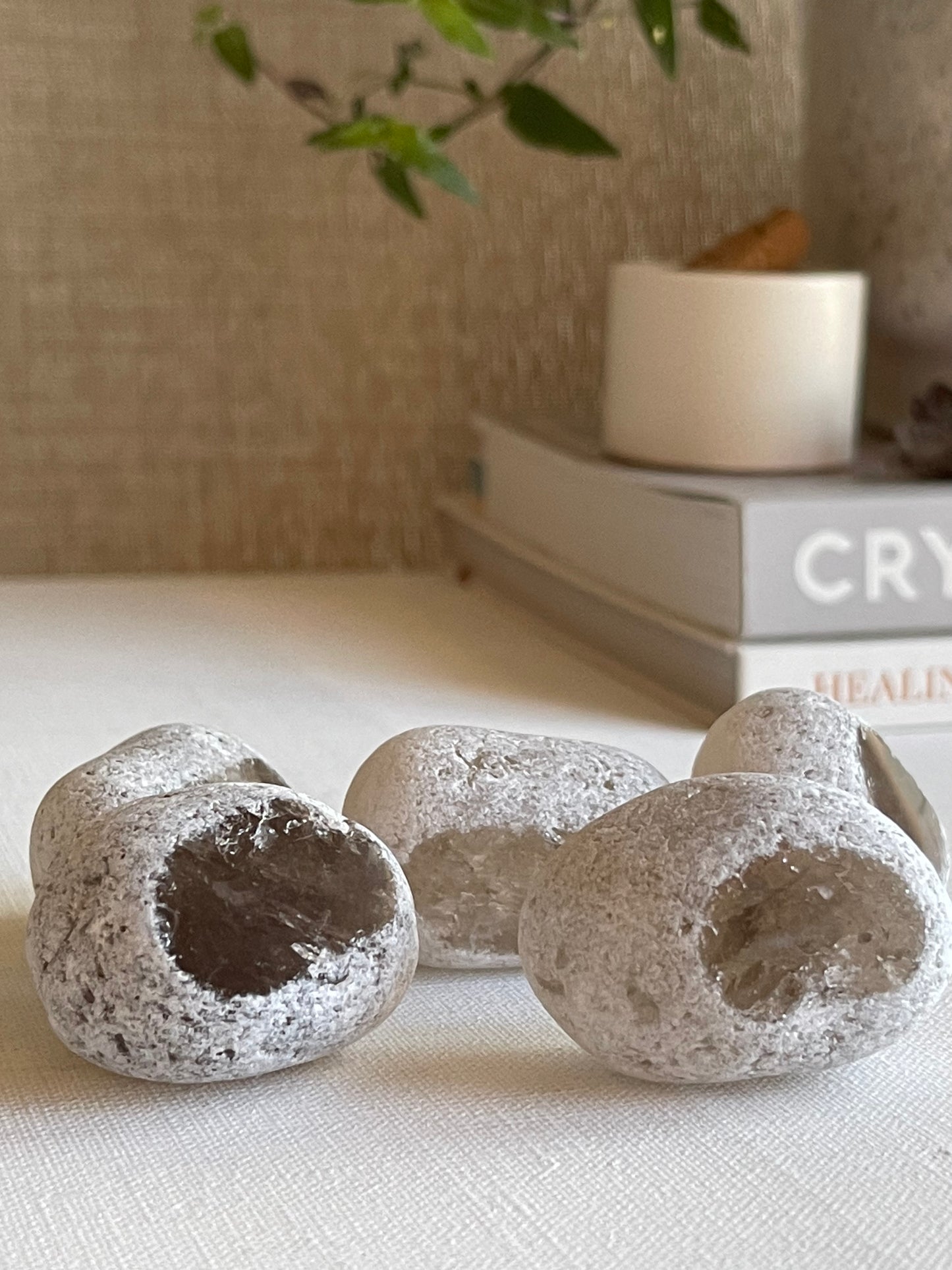 Smoky Quartz Raw Window/Seer || Grounding