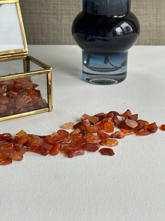 Carnelian Chips (100g) || Motivation