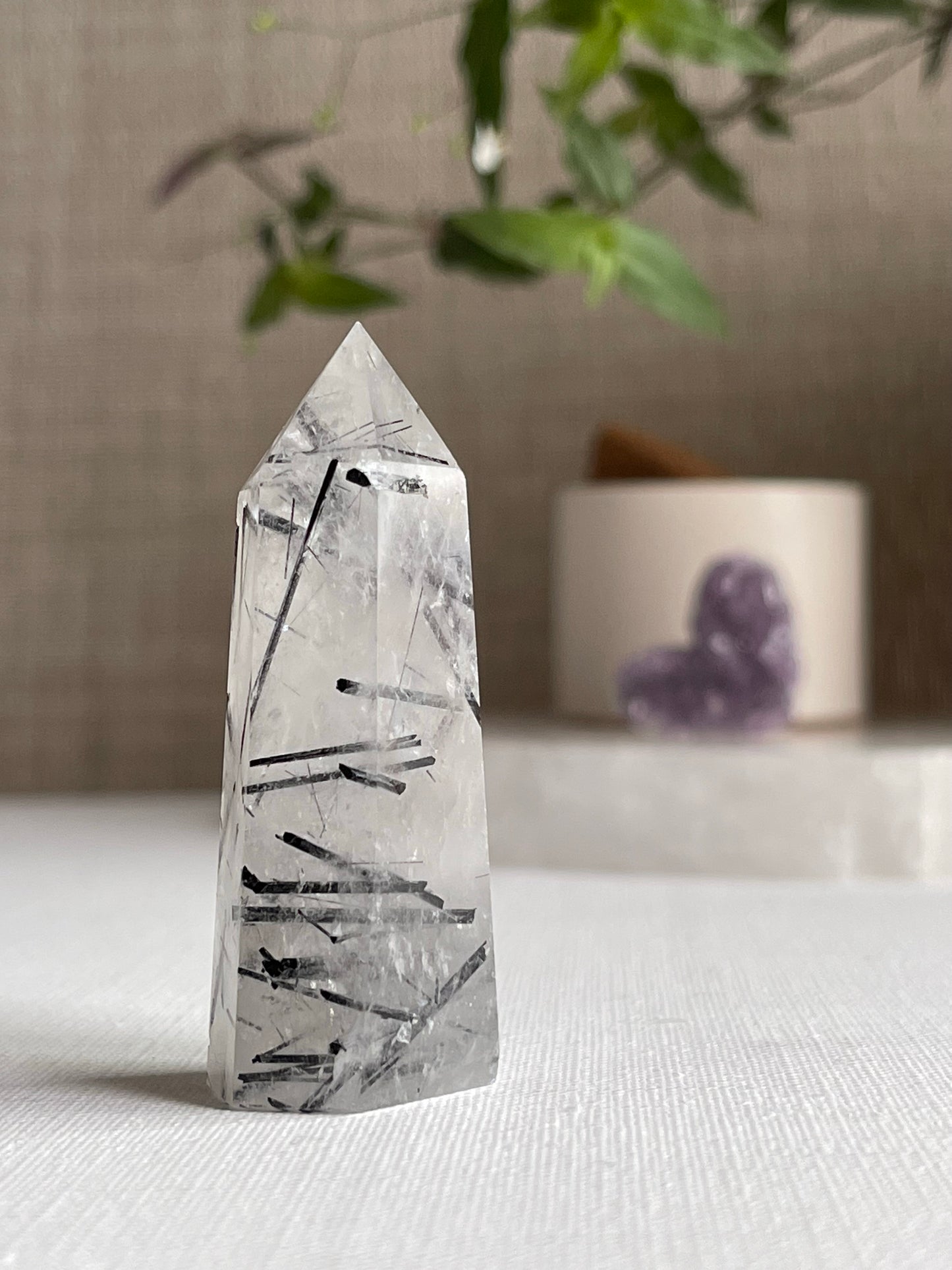 Tourmalinated Quartz Points || Protection