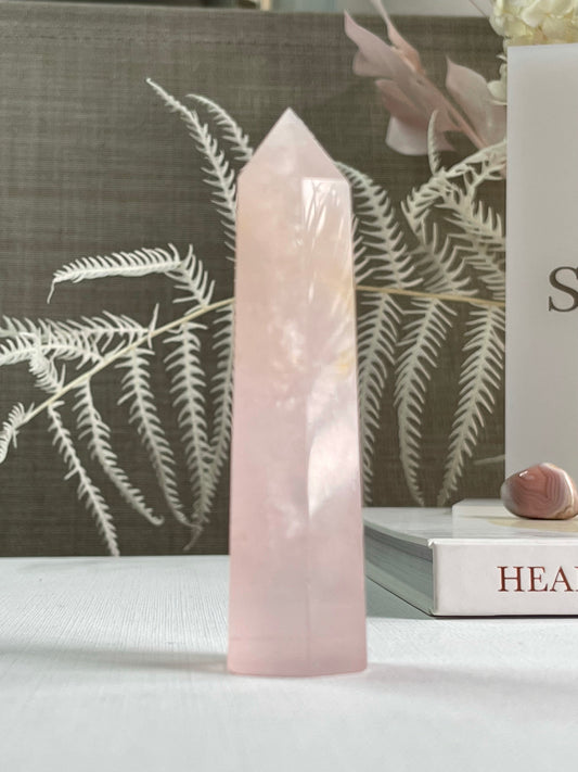 Rose Quartz Points (0.093g) || Unconditional Love