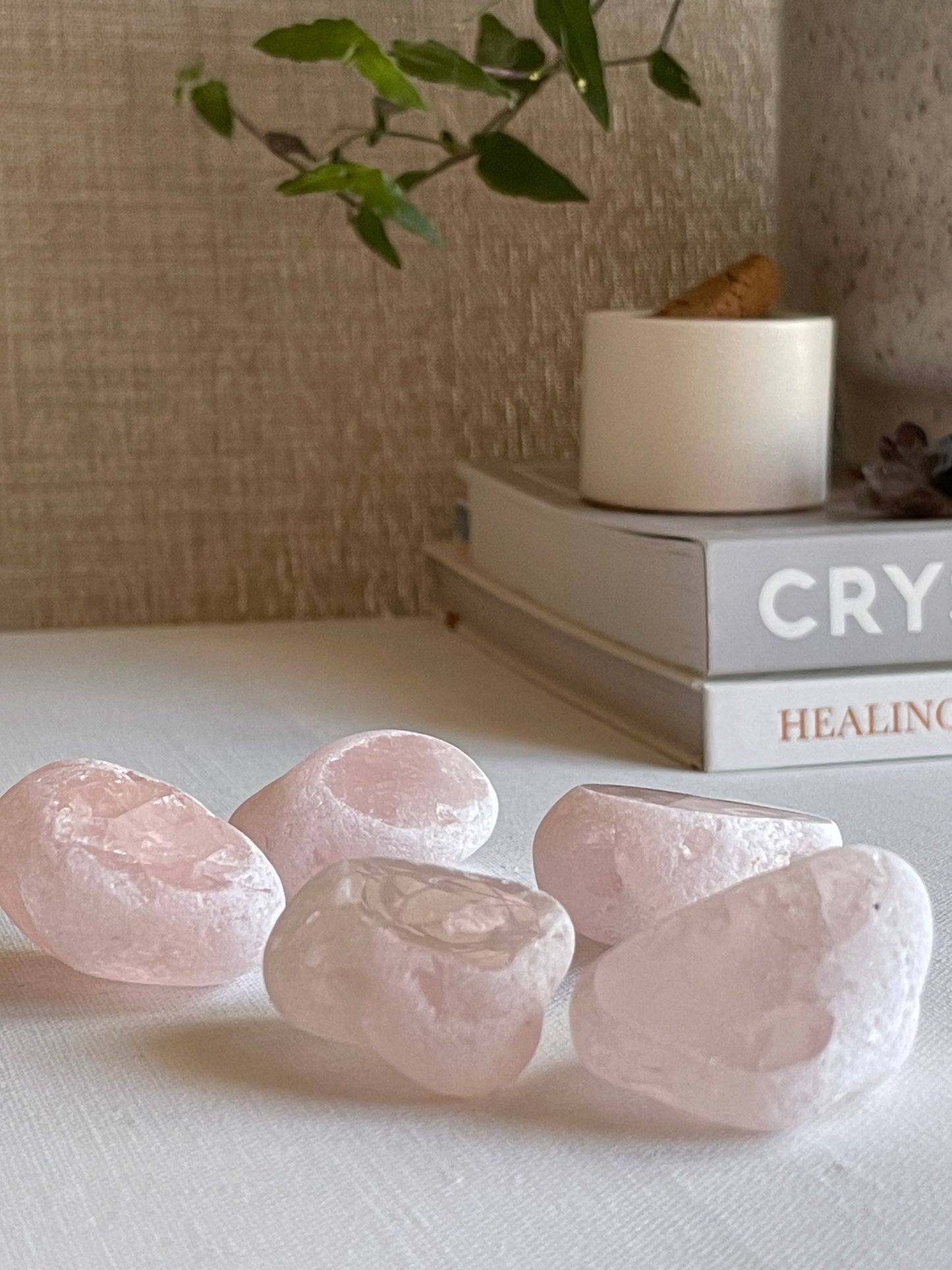 Rose Quartz Window / Seer || Unconditional Love