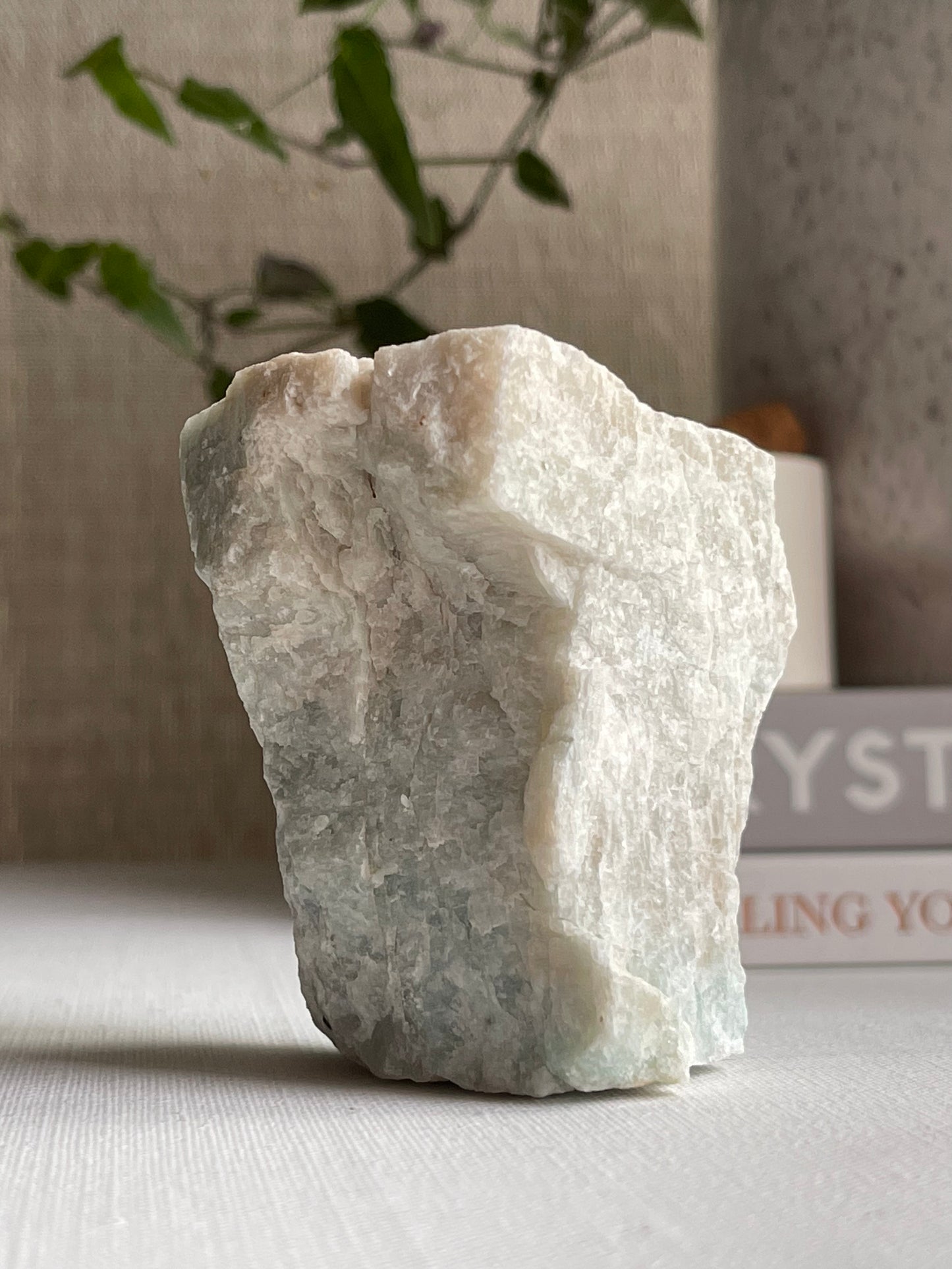 Amazonite Raw || Courage