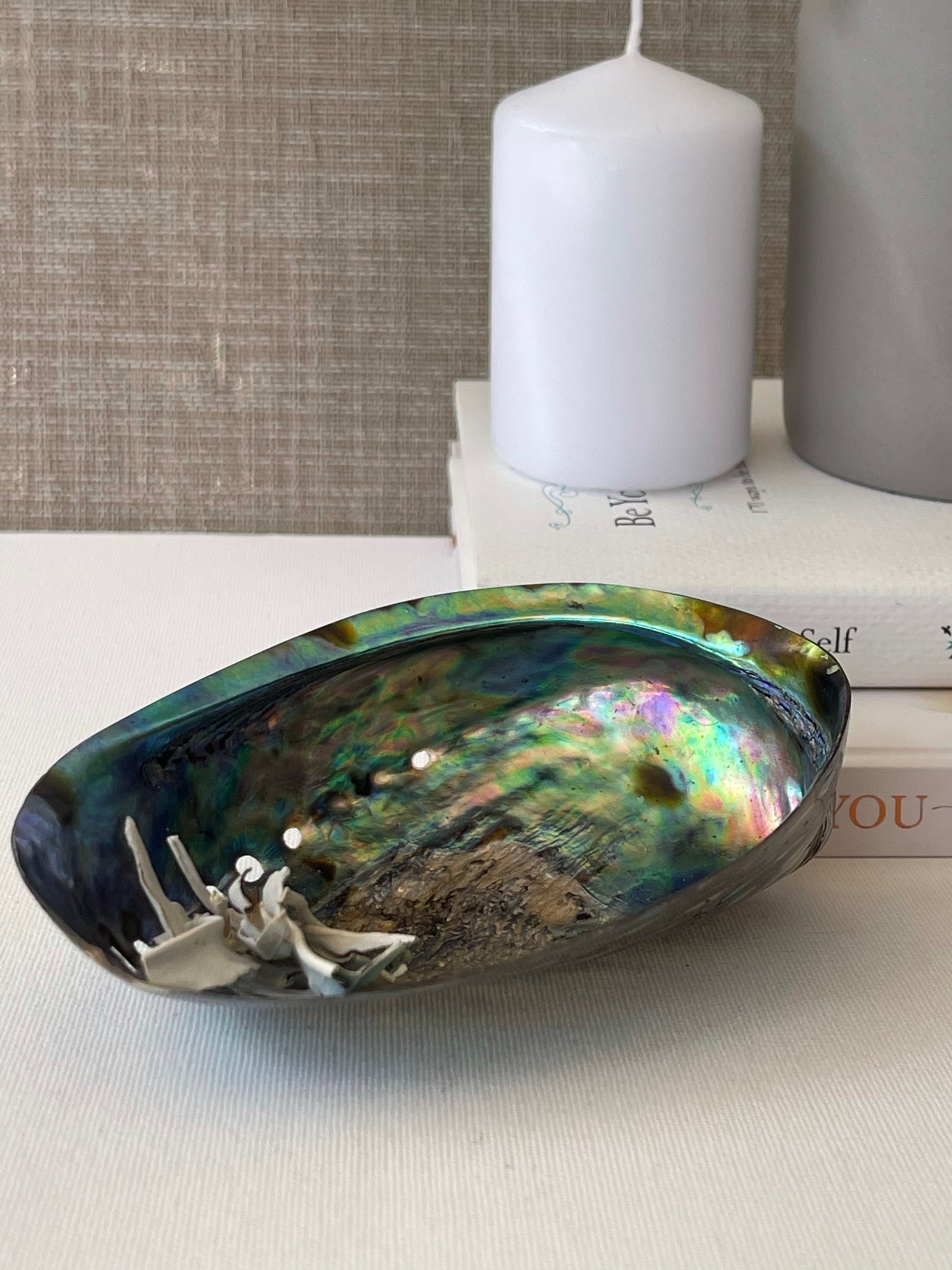 Abalone Shell || Polished