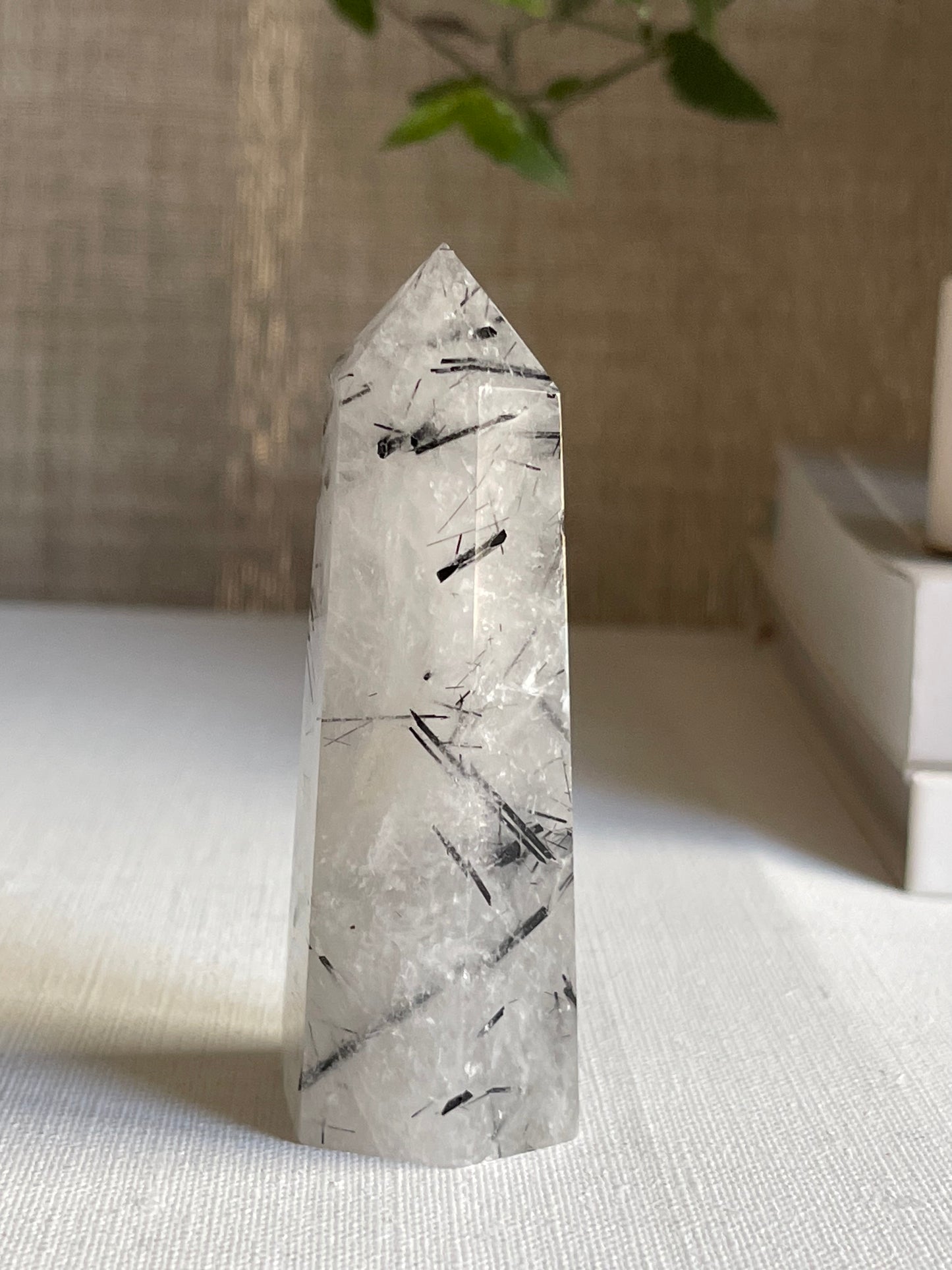 Tourmalinated Quartz Points || Protection