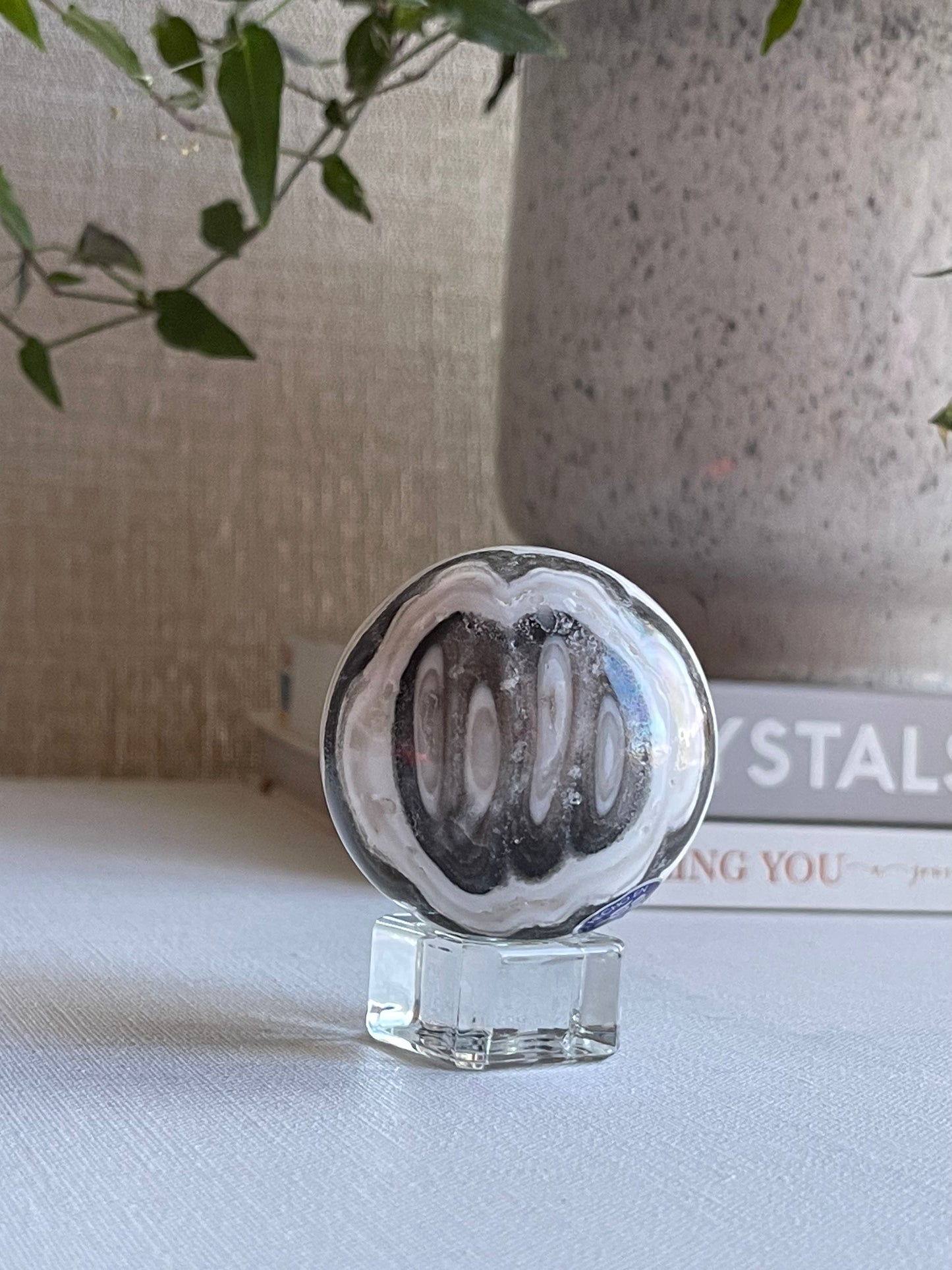 Zebra Onyx Sphere || Large