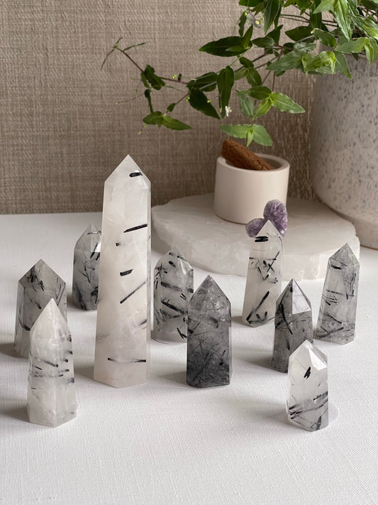 Tourmalinated Quartz Points || Protection