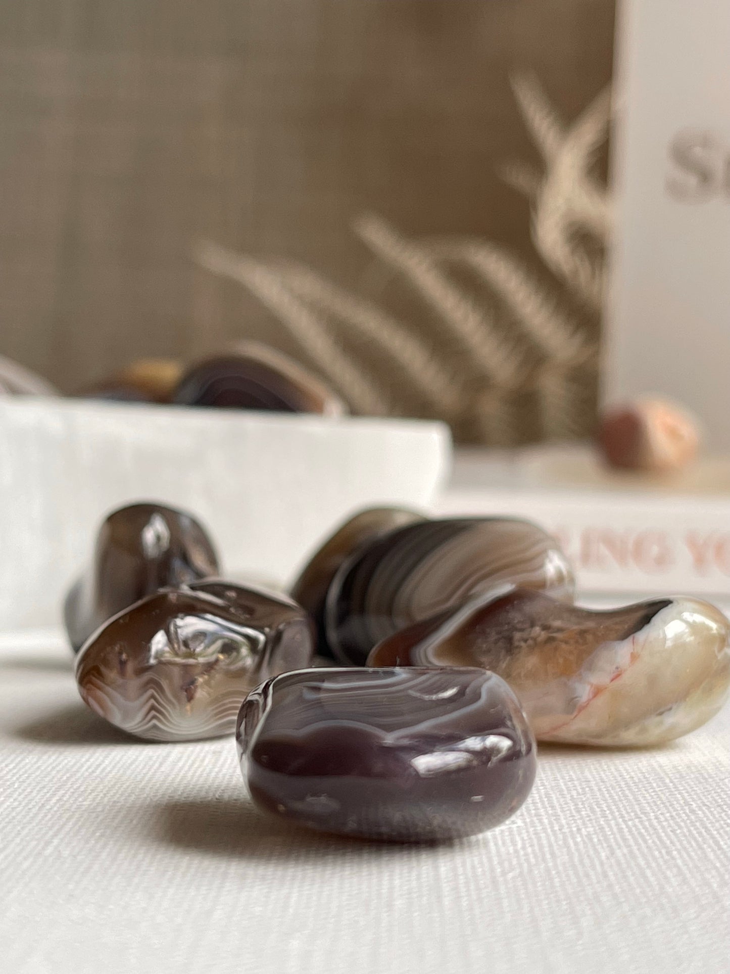 Botswana Agate Tumbles || Protective