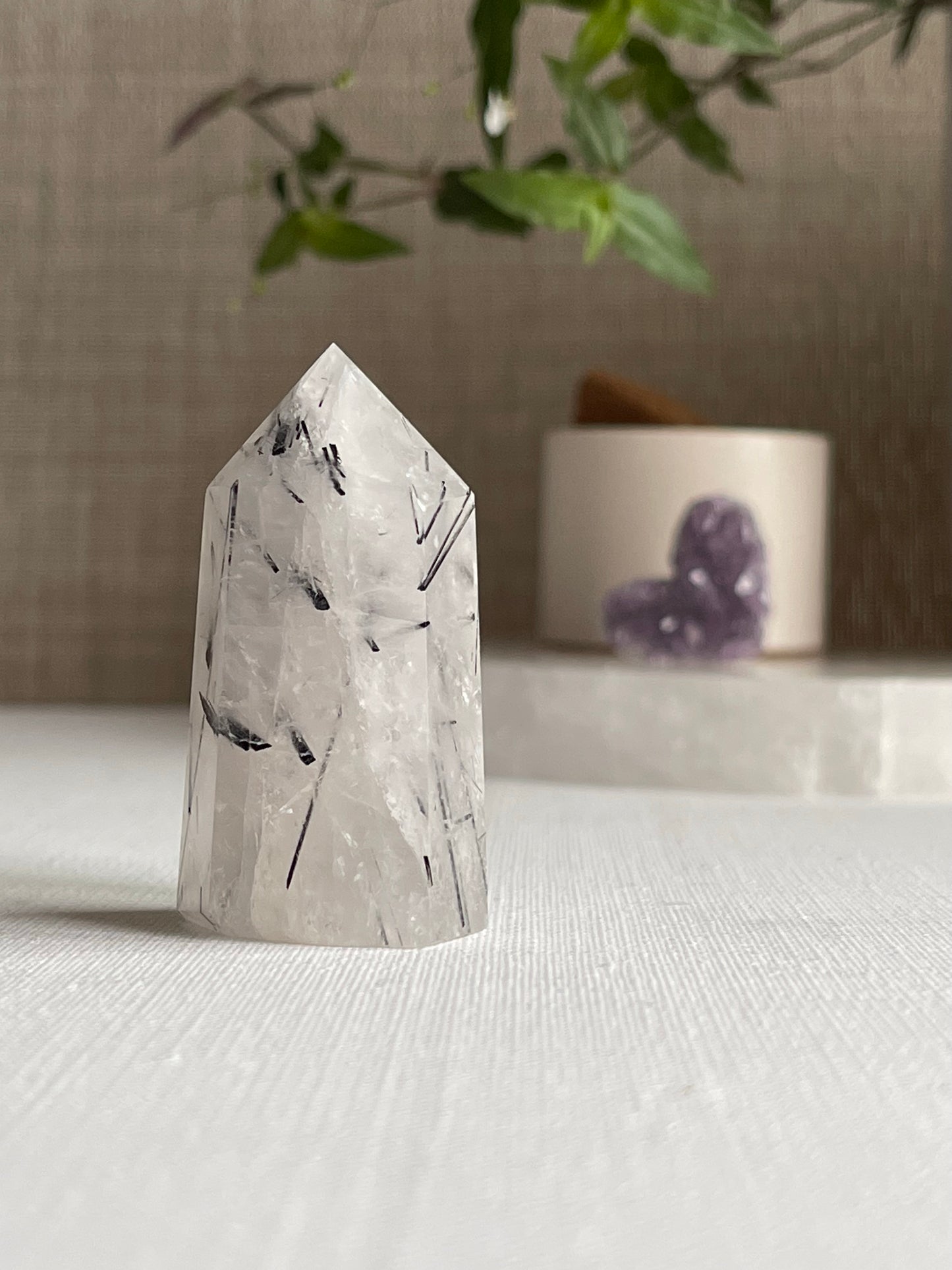 Tourmalinated Quartz Points || Protection