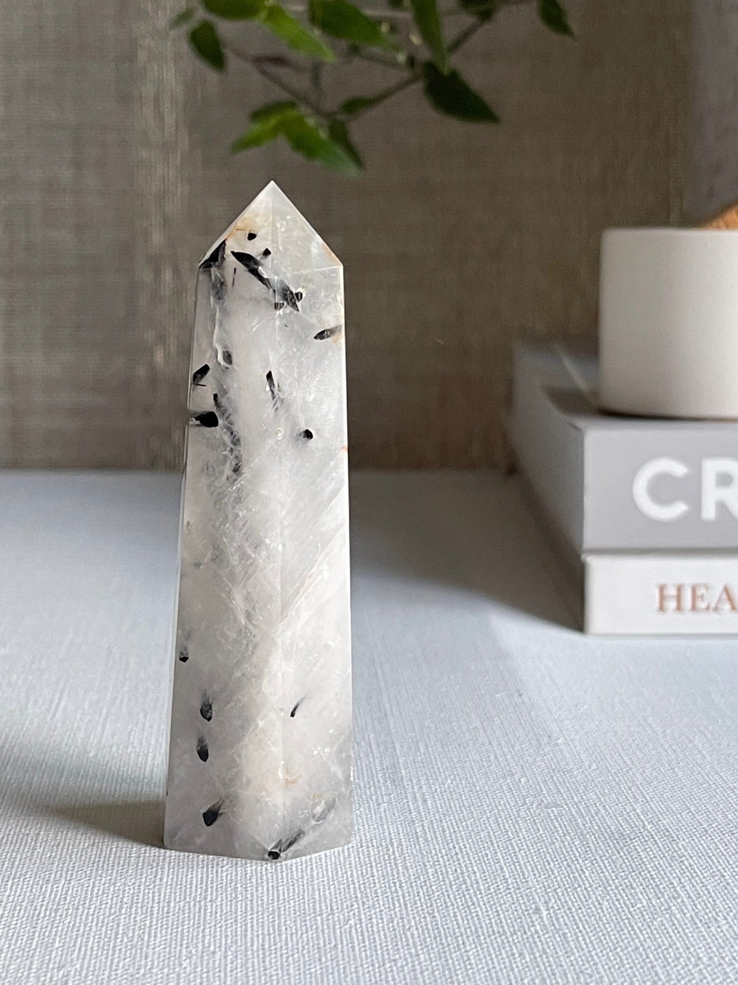 Tourmalinated Quartz Points || Protection