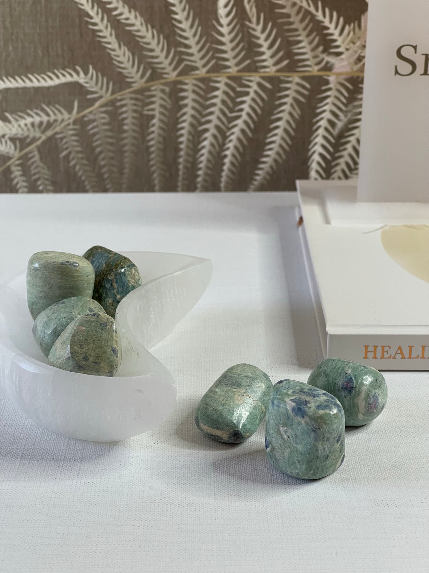 Ruby in Fuchsite Tumbles || Self Worth