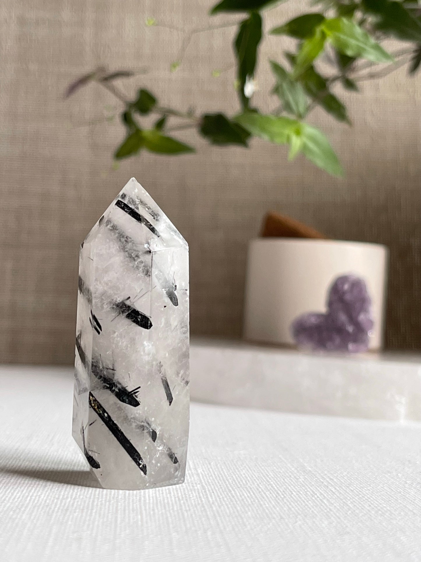 Tourmalinated Quartz Points || Protection