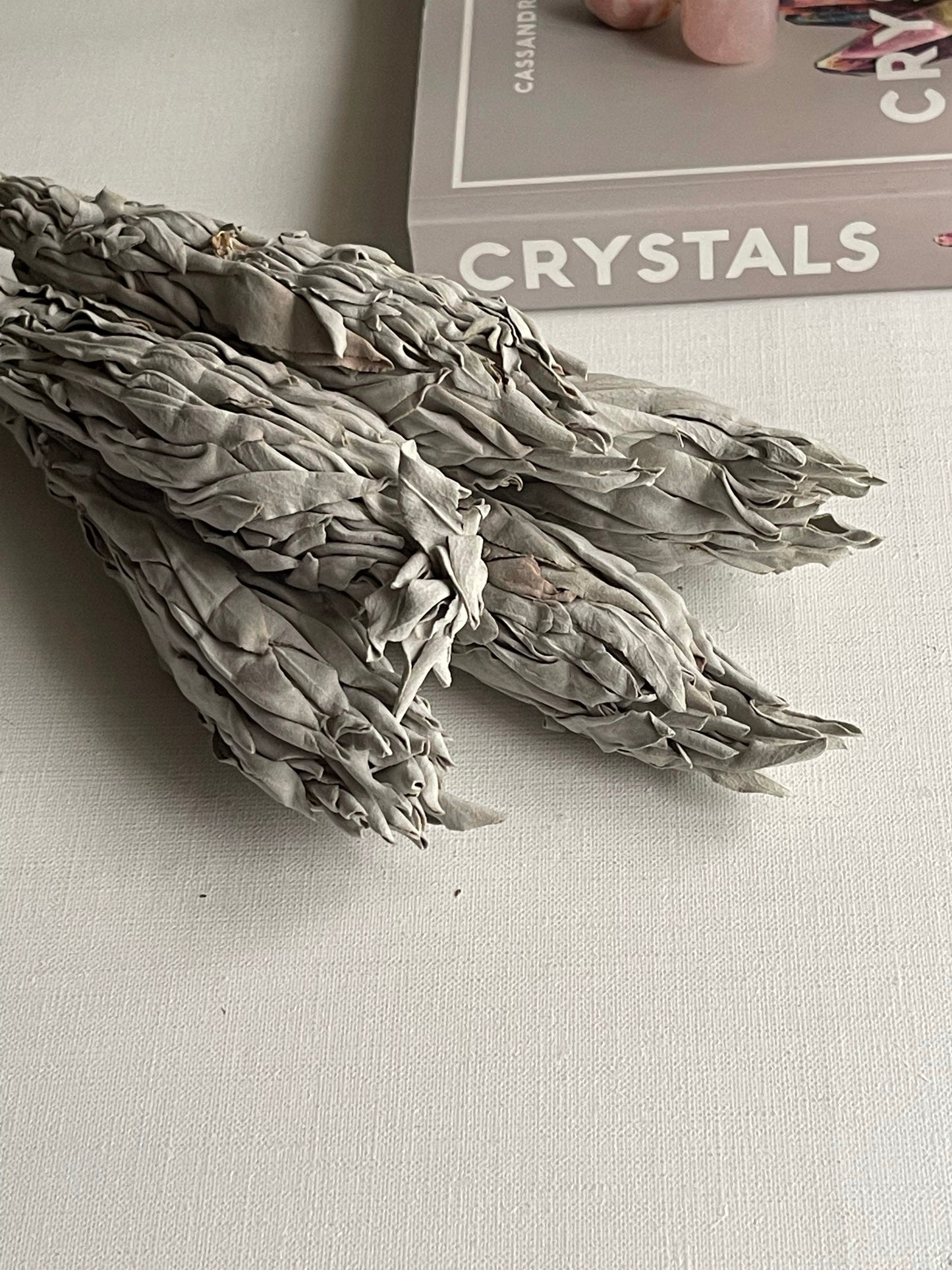 White Sage Wand || Large - Australian Grown