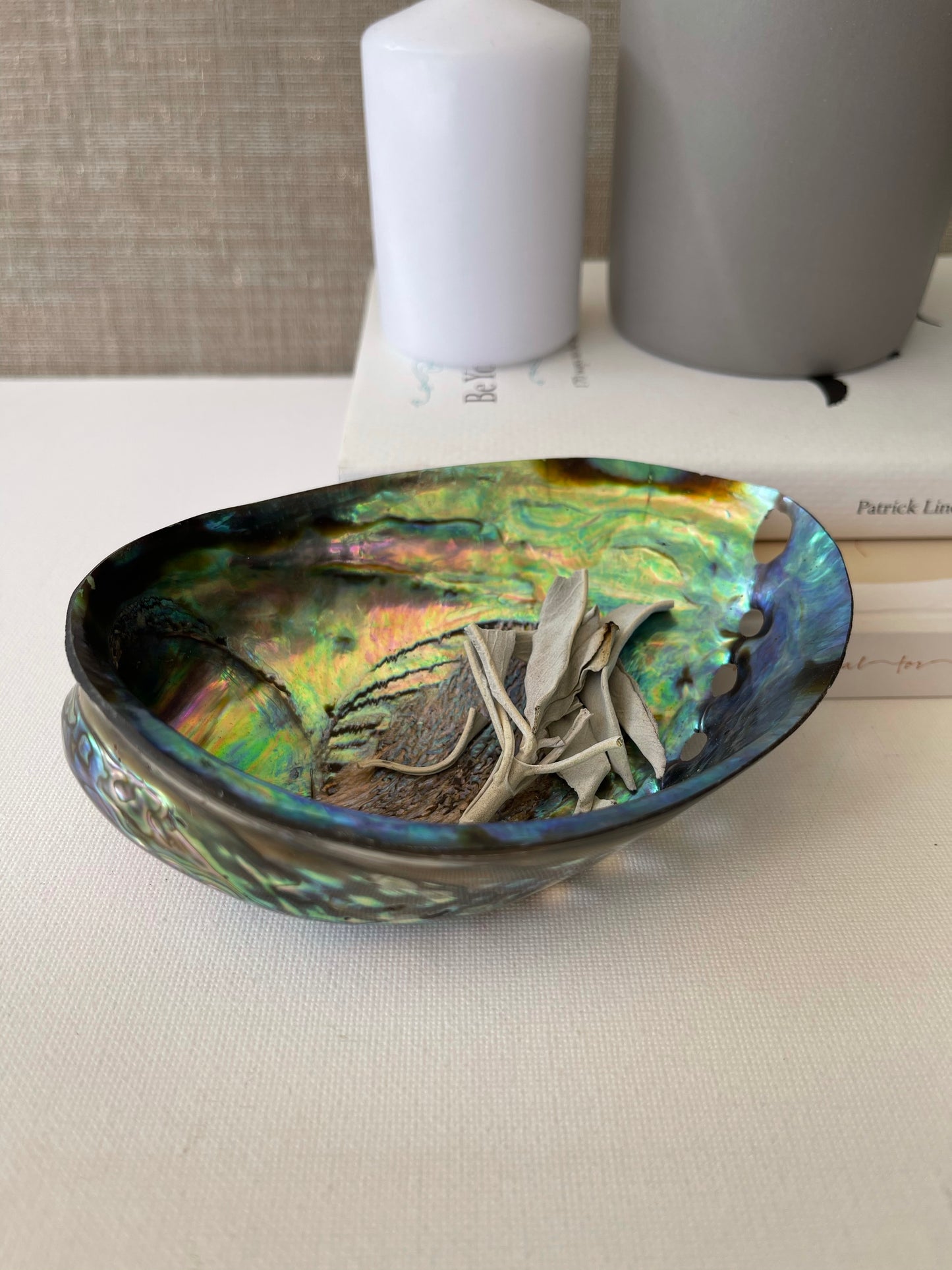 Abalone Shell || Polished