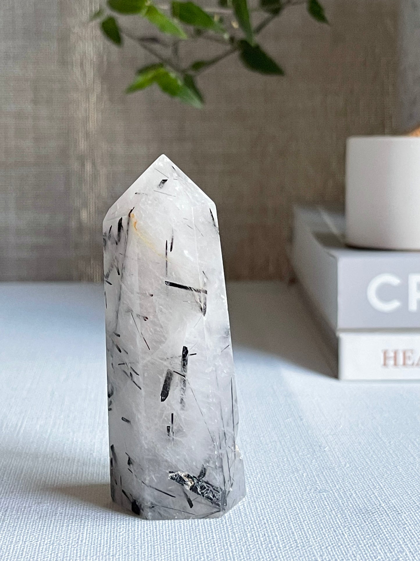 Tourmalinated Quartz Points || Protection