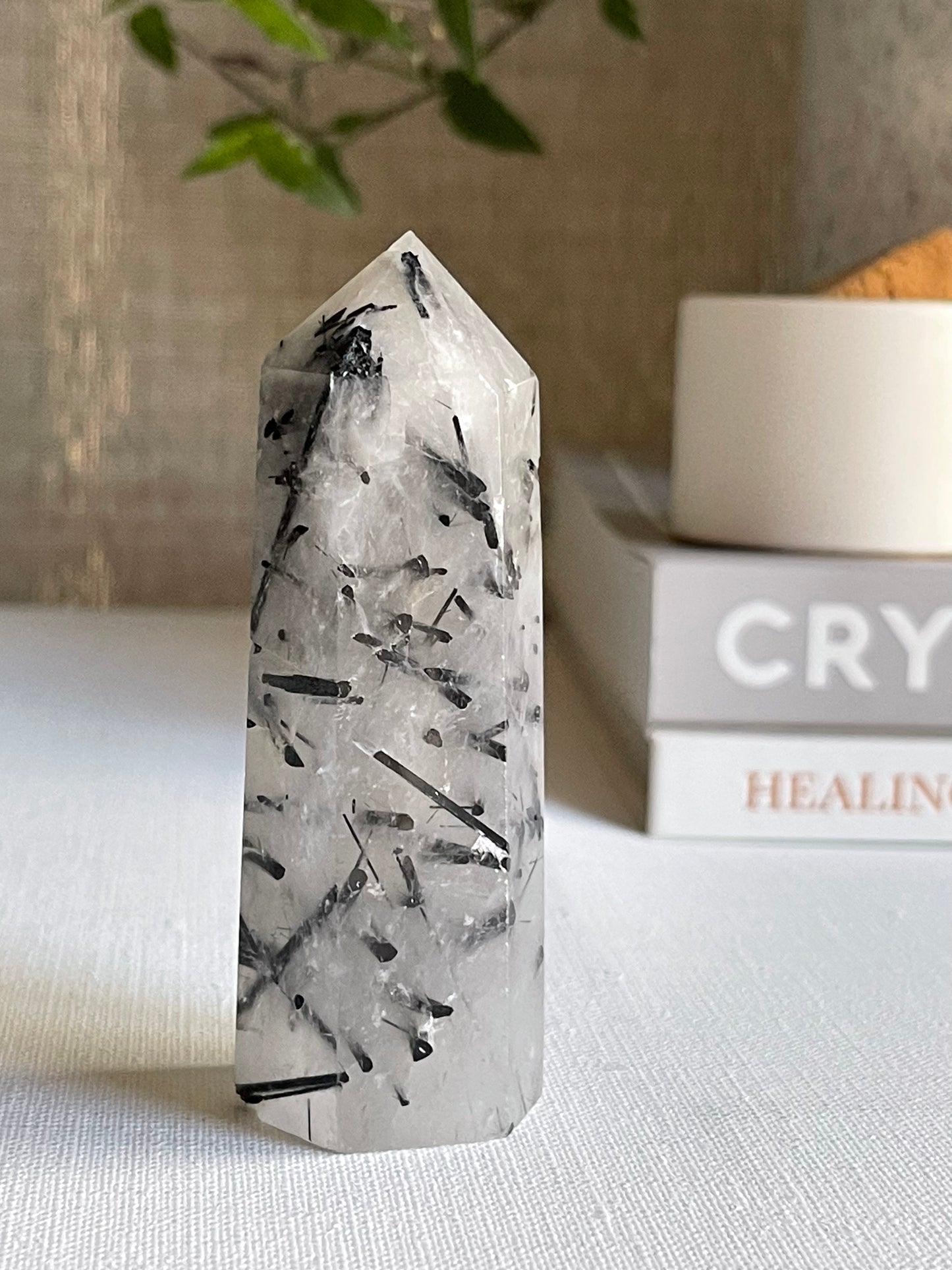 Tourmalinated Quartz Points || Protection