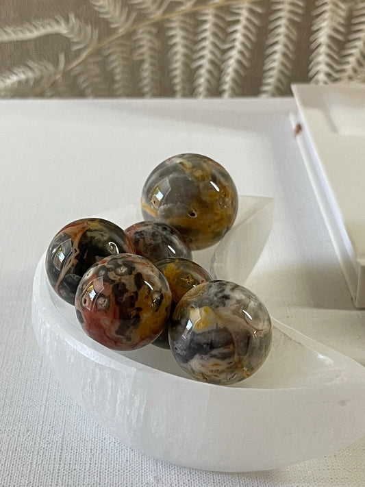 Crazy Lace Mini Spheres || Happiness