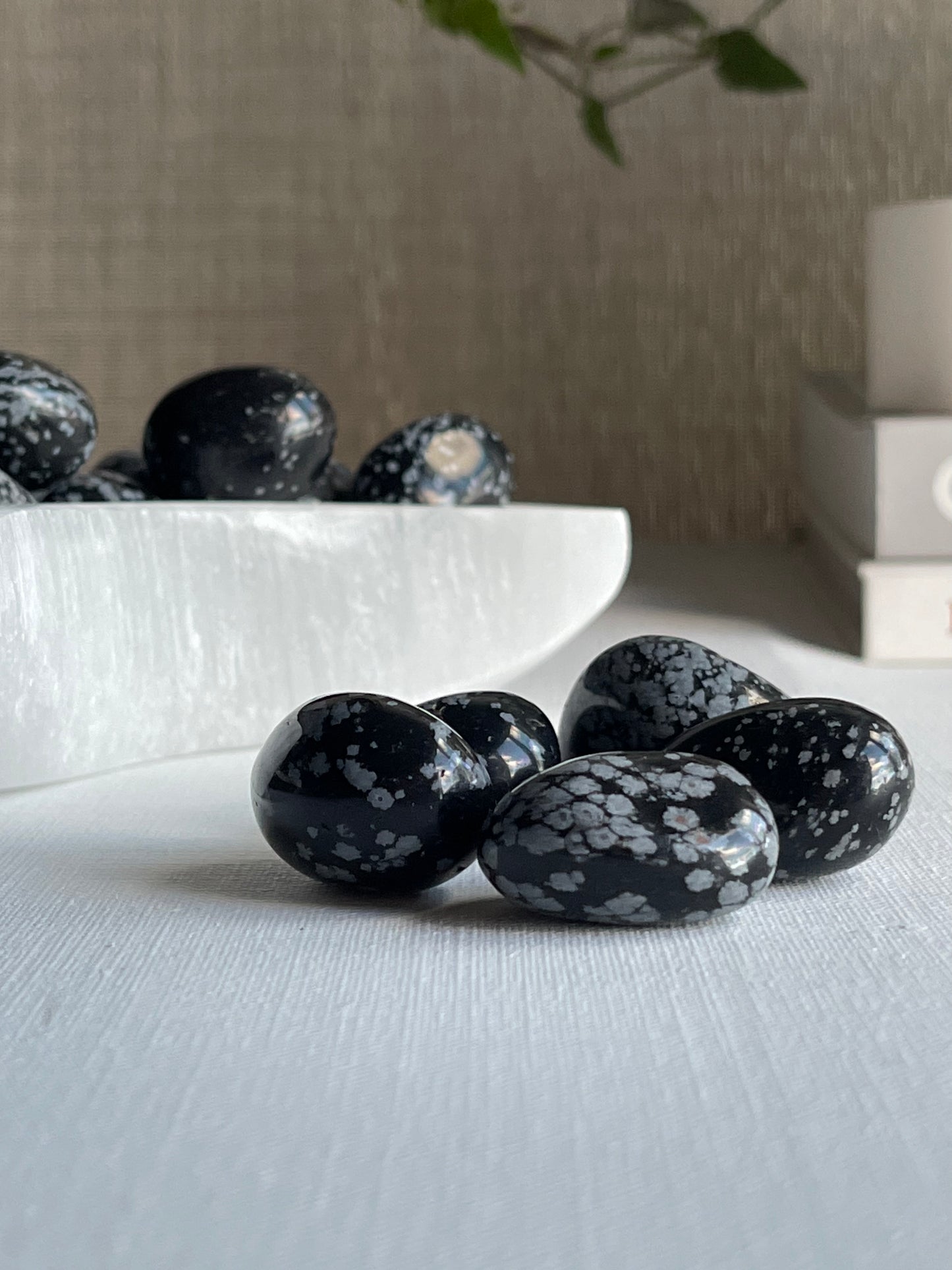 Snowflake Obsidian Tumble || Purification