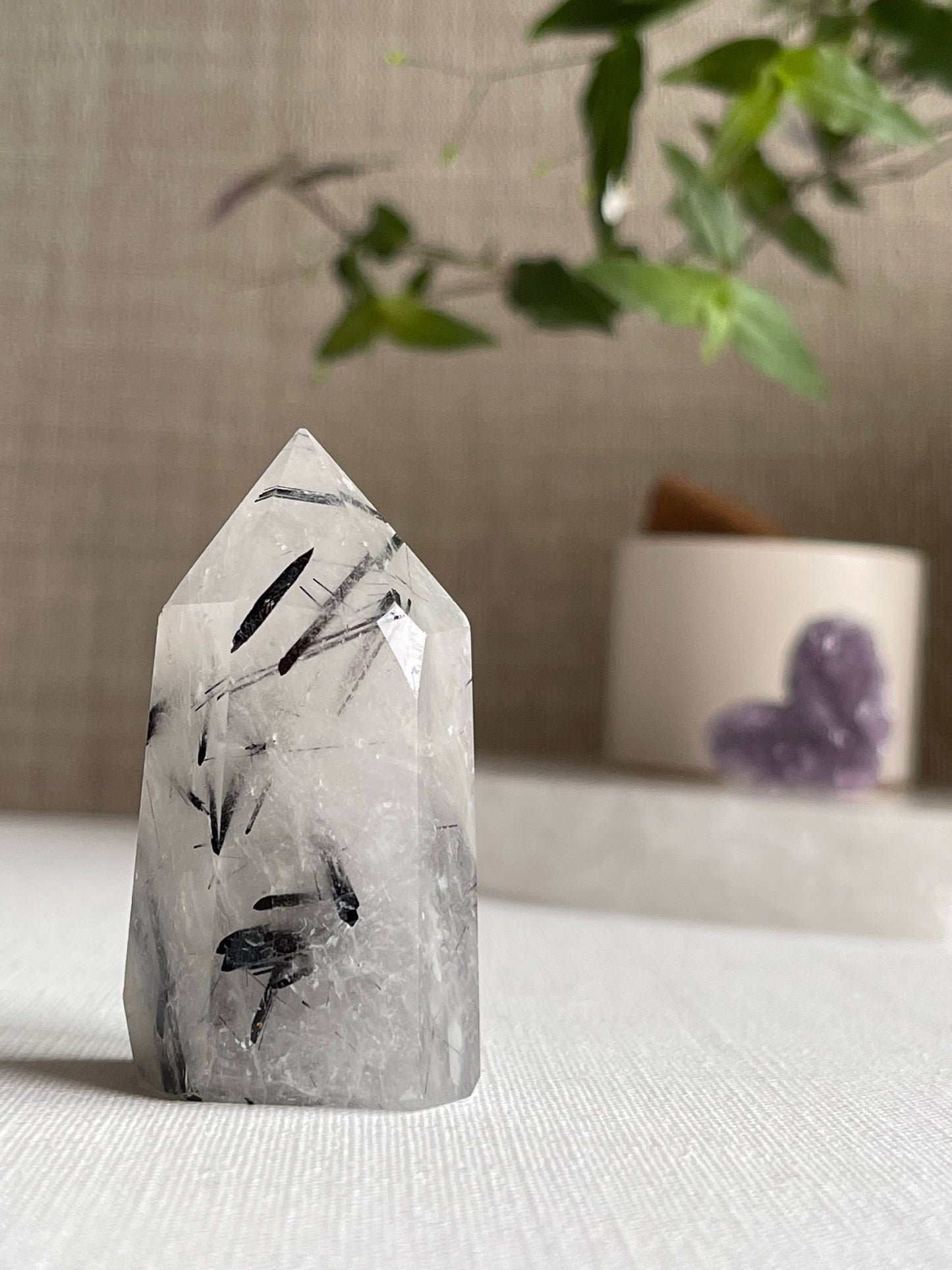 Tourmalinated Quartz Points || Protection