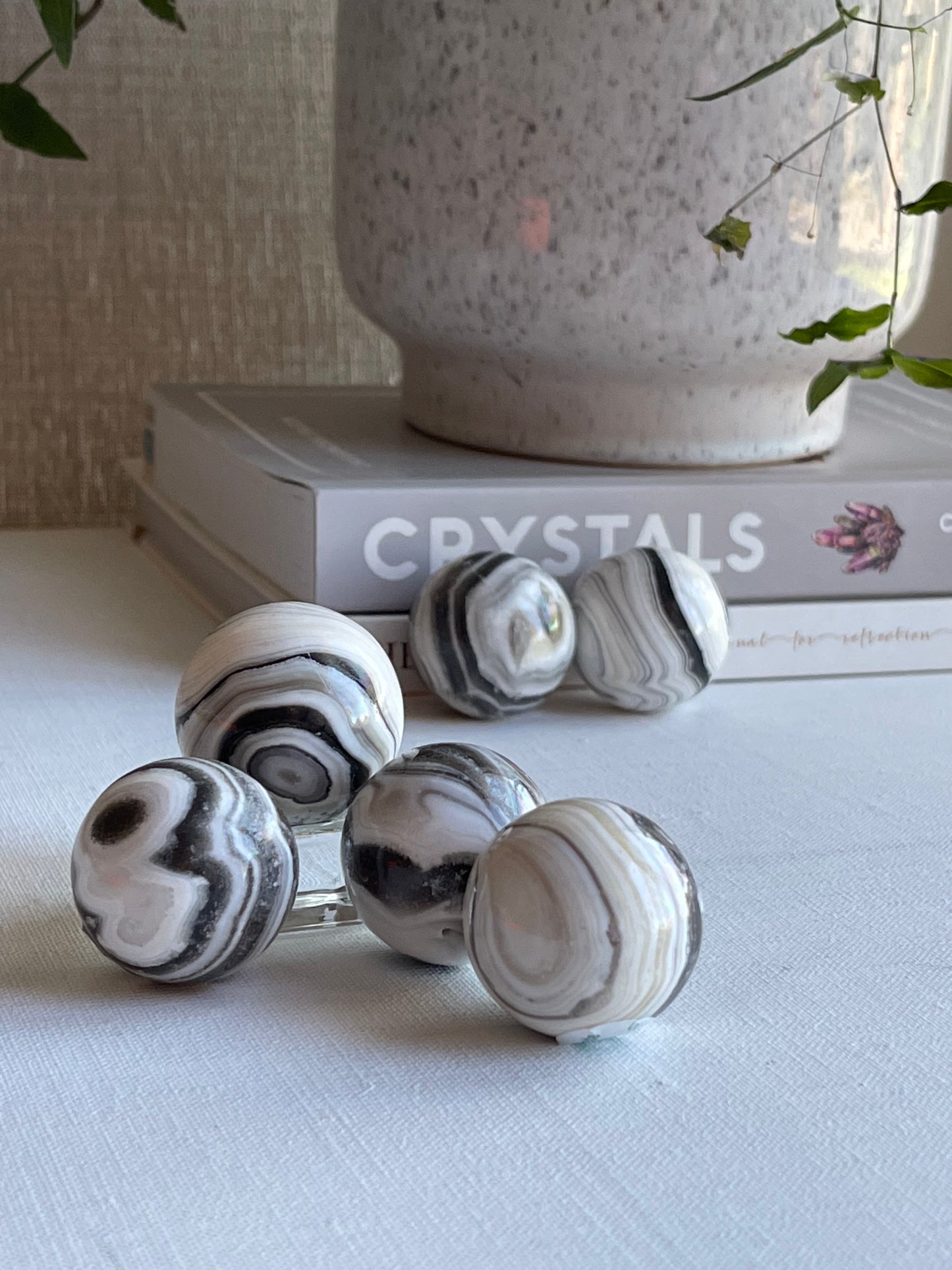 Zebra Onyx Sphere || Small