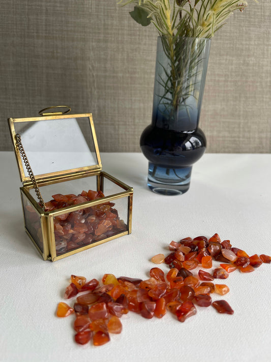 Carnelian Chips (100g) || Motivation