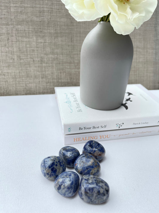 Sodalite Tumble || Clarity
