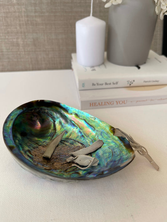 Abalone Shell || Polished