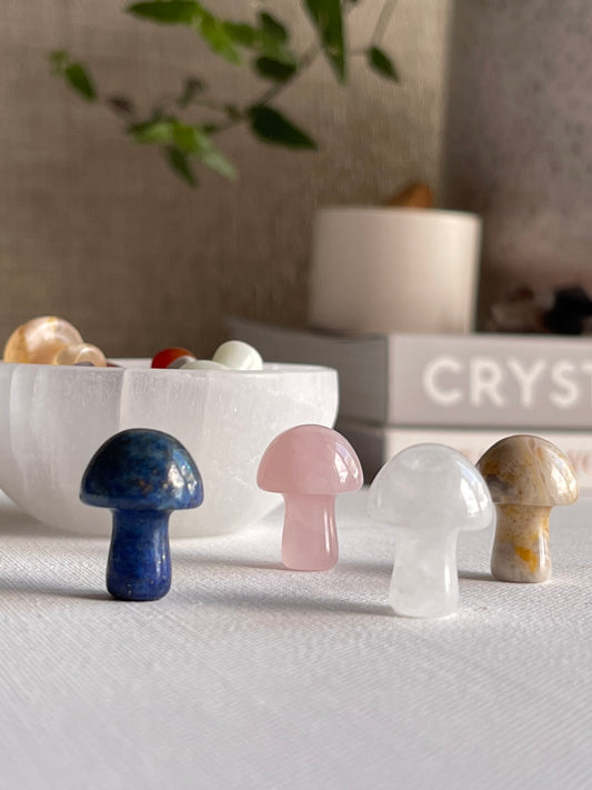 Crystal Mushrooms || Mini