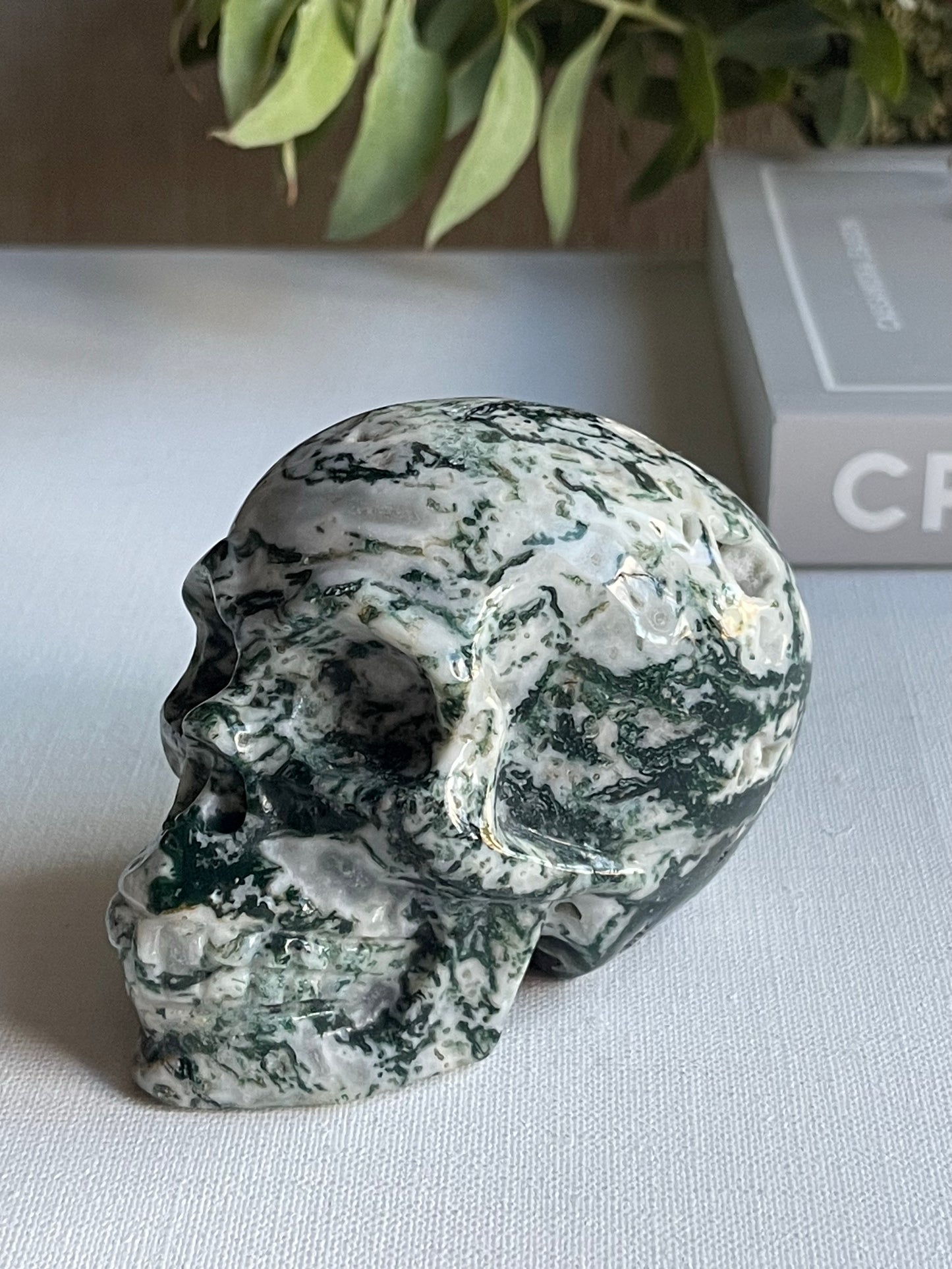 Moss Agate Skull (0.432g || New Beginnings