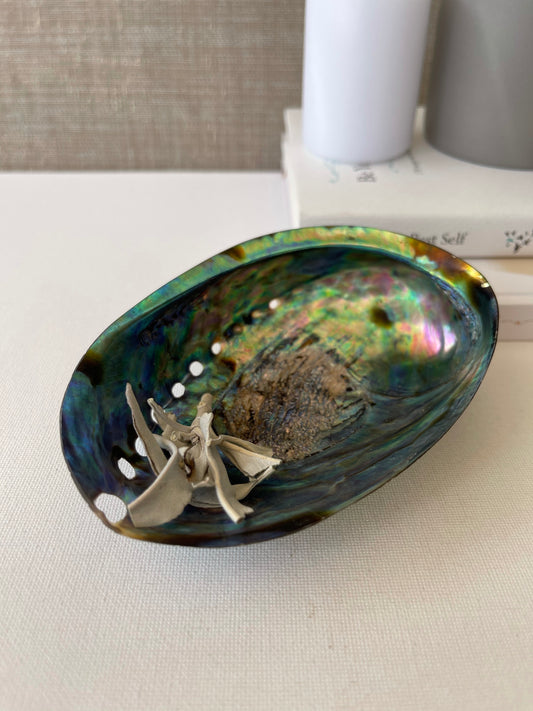 Abalone Shell || Polished